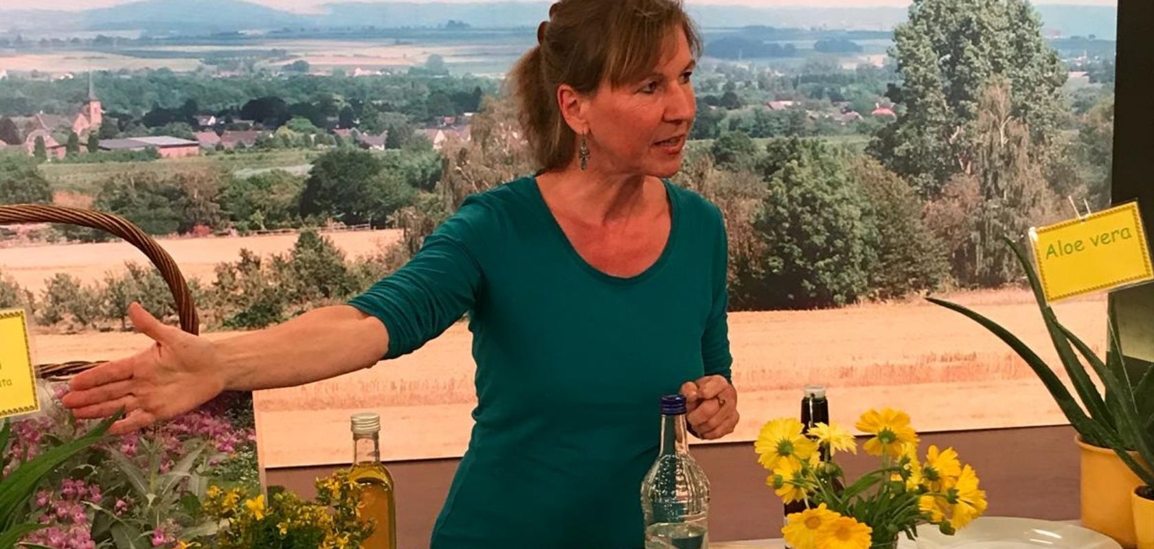 radiofernsehbeitraege