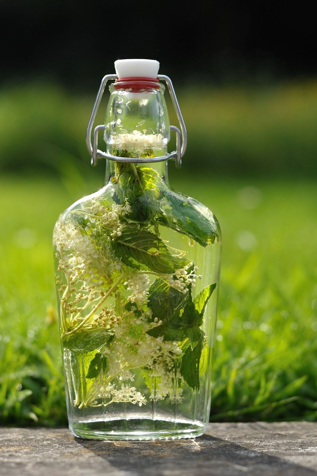 A.2.3.B. Limo To Go Mädesüß Und Wasserminze Vom Städtischen Ruhrufer In Essen Foto Heinz Lappe Dsc 3113